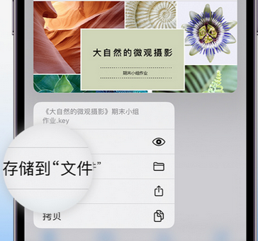 北安apple维修中心分享iPhone文件应用中存储和找到下载文件