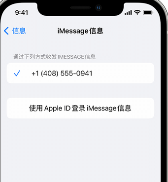 北安apple维修iPhone上无法正常发送iMessage信息 