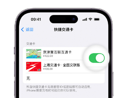 北安apple维修点分享iPhone上更换Apple Pay快捷交通卡手绘卡面 