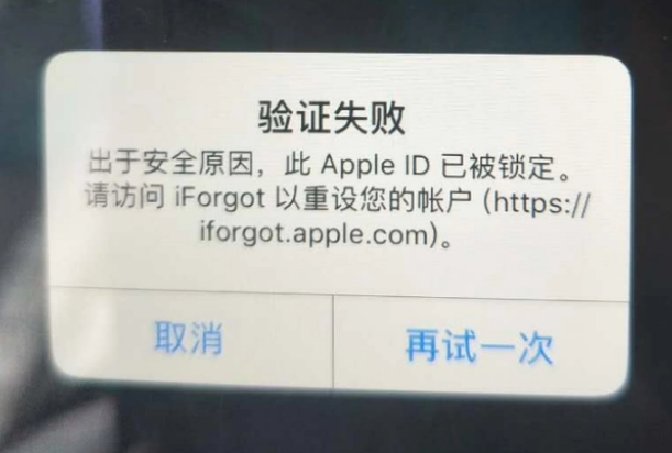 北安iPhone维修分享iPhone上正常登录或使用AppleID怎么办 