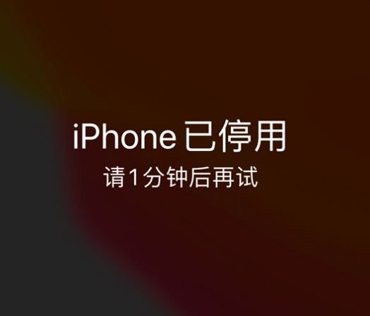 北安苹果手机维修分享:iPhone 显示“不可用”或“已停用”怎么办？还能保留数据吗？ 