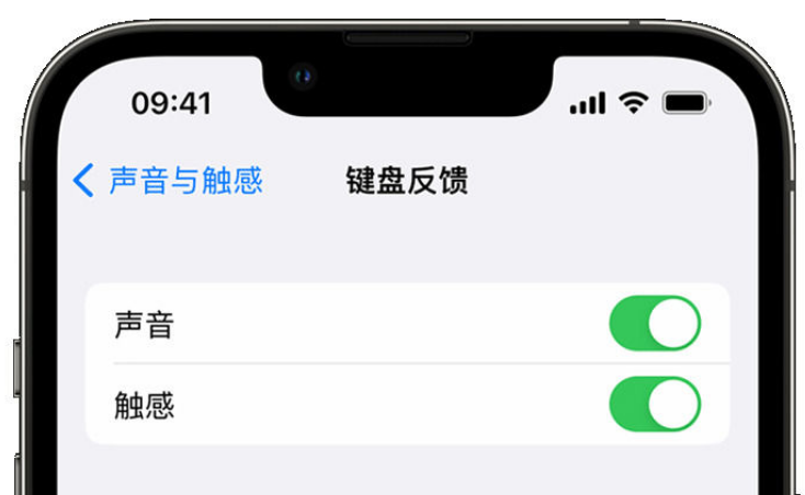 北安苹果手机维修分享iPhone 14触感键盘使用方法 