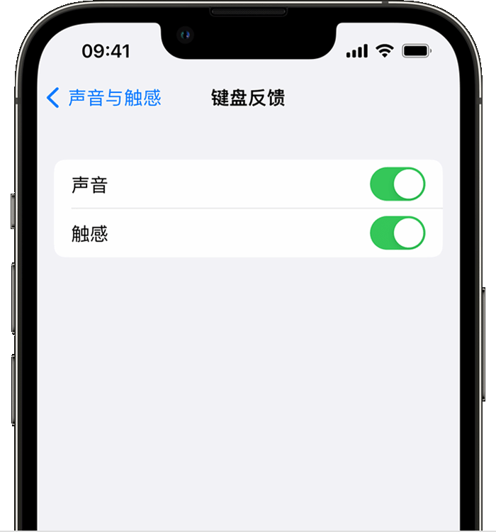 北安苹果14维修店分享如何在 iPhone 14 机型中使用触感键盘 