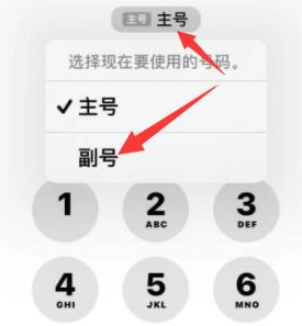 北安苹果14维修店分享iPhone 14 Pro Max使用副卡打电话的方法 