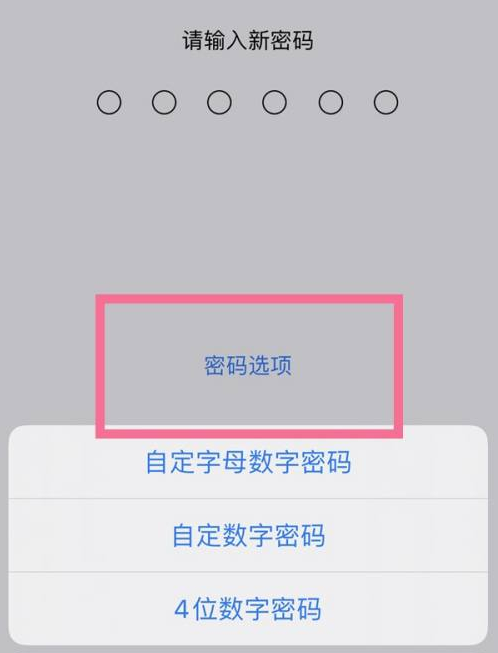 北安苹果14维修分享iPhone 14plus设置密码的方法 