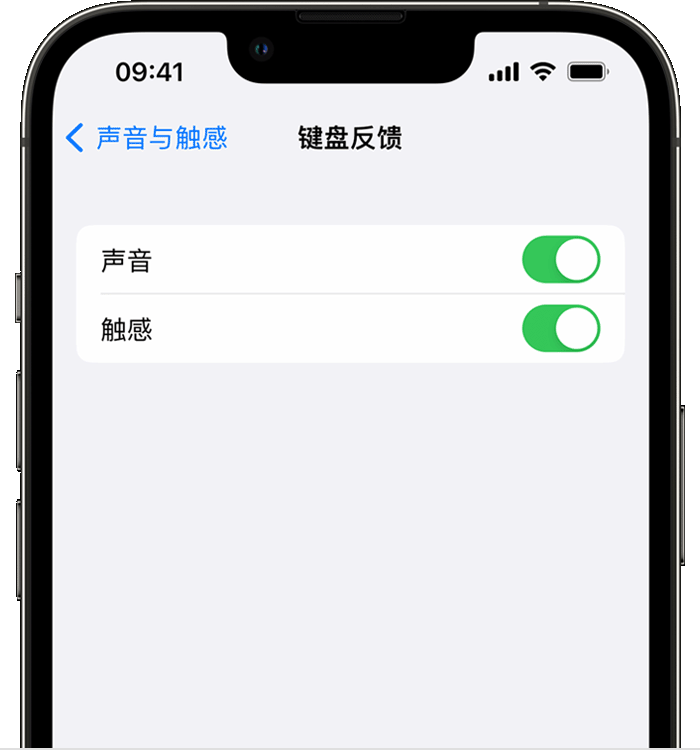 北安苹果14维修分享iPhone 14 系列机型如何开启键盘声音或触感反馈 