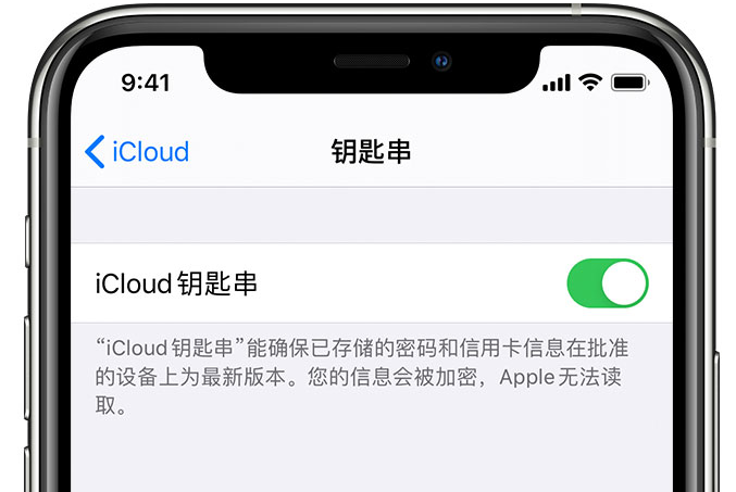 北安苹果手机维修分享在 iPhone 上开启 iCloud 钥匙串之后会储存哪些信息 