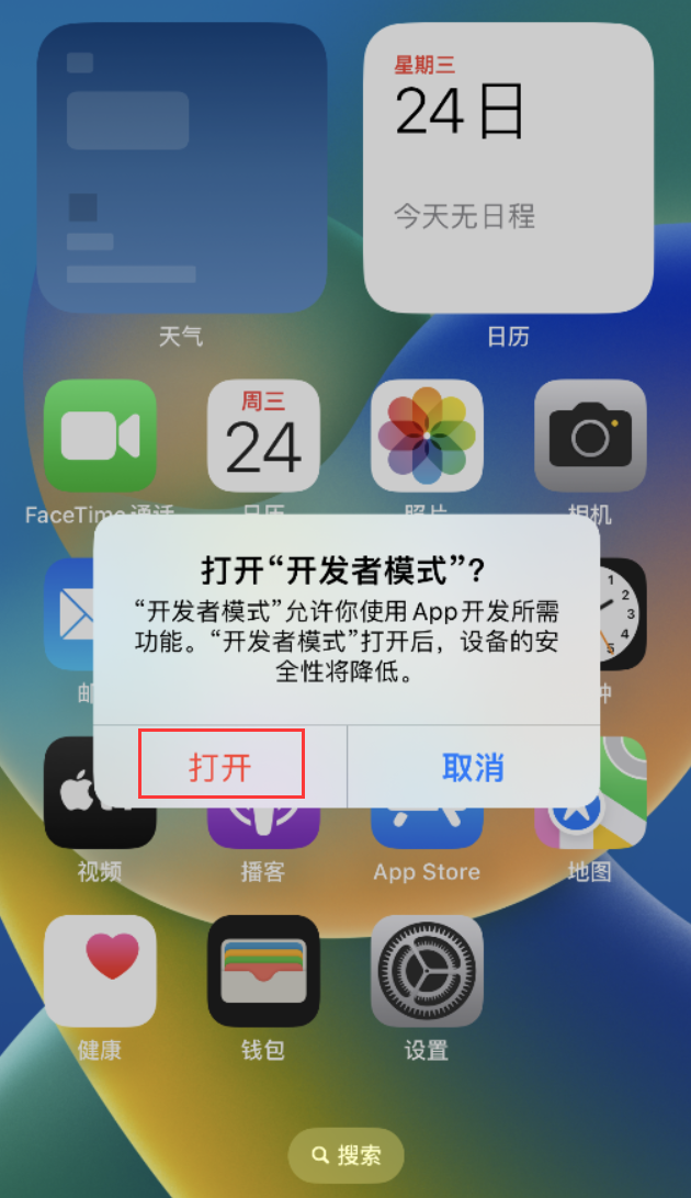 北安苹果手机维修分享如何打开开发者模式 