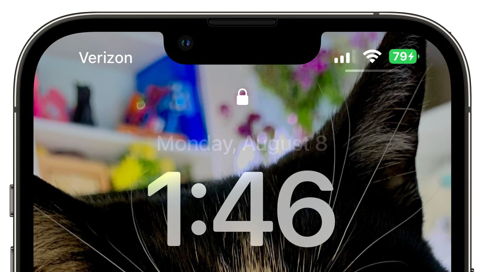 北安苹果手机维修分享iOS 16 beta 5 支持状态栏显示电池百分比，如何开启？支持哪些机型 