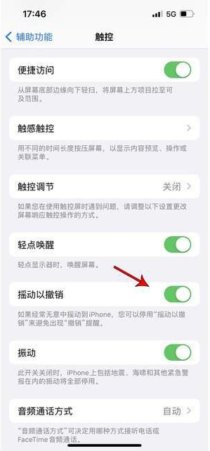 北安苹果手机维修分享iPhone手机如何设置摇一摇删除文字 