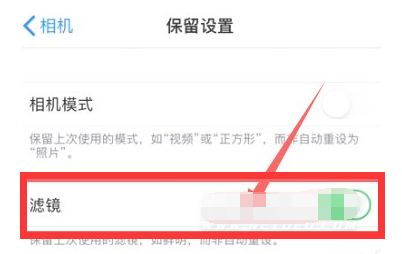 北安苹果13维修分享iPhone13拍照有绿点是怎么回事 