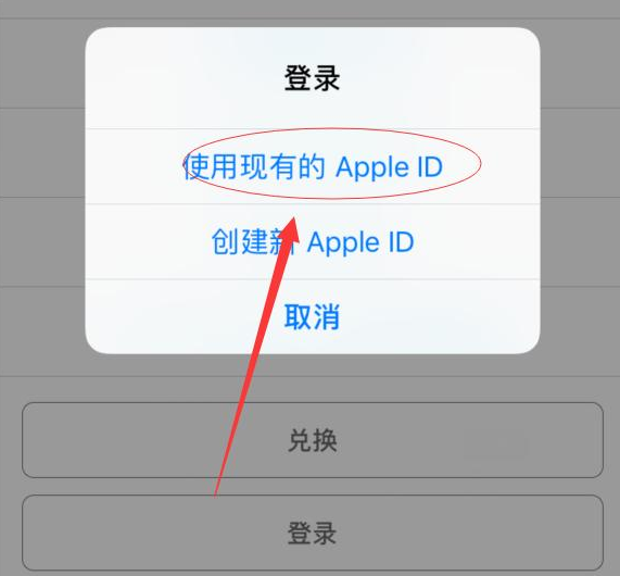 北安苹果手机维修分享两台iPhone设备可以同时登录一个Apple ID吗 