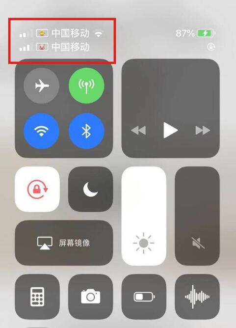 北安苹果手机维修分享为 iPhone 12 双卡设置标签 